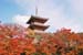 Kyoto Kiyomizu Temple Nov 2006